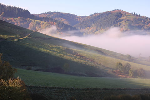 ประเทศเยอรมัน, Munstertal, ฉากที่เงียบสงบ, Scenics - ธรรมชาติ, ภูมิประเทศ, สิ่งแวดล้อม, ความงามในธรรมชาติ, ความเงียบสงบ, ภูเขา, ฉากที่ไม่ใช่ในเมือง, ที่ดิน, ท้องฟ้า, ธรรมชาติ, ต้นไม้, ไม่มีคน, ปลูก, วัน, งดงาม, สนาม, หญ้า, ห่างไกล, กลางแจ้ง, 4K, CC0, โดเมนสาธารณะ, ค่าลิขสิทธิ์ฟรี