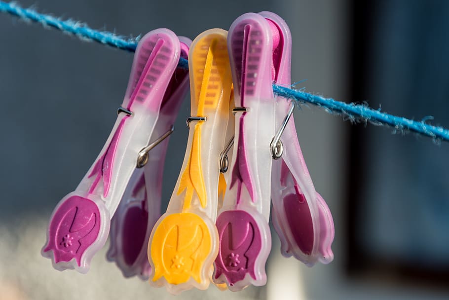 rentat, peg, bugaderia, feines de casa, llar, roba, pin, estenedor, penjar, rentar, pinça de roba, neteja, multicolor, primer pla, color rosa, penjant, cap gent, elecció, variació, centrar-se en primer pla, a l'interior, natura morta, plàstic, grup d'objectes, tir de l'estudi, higiene, groc, porpra, en fila, 5K