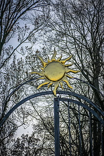 cancello, sole, architettura, alberi, storico, albero, Inquadratura dal basso, pianta, ramo, nessuno, albero nudo, natura, giallo, giorno, cielo, all'aperto, lampione, attrezzatura per l'illuminazione, struttura costruita, metallo, strada, modello, design, polo, 5K, CC0, dominio pubblico, privo di copyright