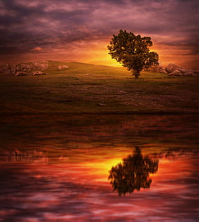 posta de sol, arbre, llac, reflexió, sortida del sol, cel, onada, paisatge, fantasia, rock, fons, il·luminació, crepuscle, aigua, prat, misteriós, atmosfera, emoció, màgia, núvol - cel, escenics - natura, bellesa a la natura, naturalesa, tranquil·litat, color taronja, cap gent, planta, escena tranquil·la, medi ambient, a l'aire lliure, cel dramàtic, terra, vespre, cel romàntic, 4K, CC0, domini públic, lliure de regalies