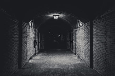 oscuro, subterráneo, camino., Canadá, Toronto, universidad de toronto - st. campus de george, negro, blanco, gris, céntrico, ciudad, noche, vibraciones, de miedo, obturador, exposición, callejón, terror, llamada, teléfono, historia, viaje, explorar, el camino a seguir, dirección, arquitectura, iluminado, edificio, equipo de iluminación, corredor, arcada, adentro, estructura construida, pared - característica de la construcción, vacío, nadie, arco, pared, Entrada, perspectiva decreciente, pared de ladrillo, piso, sendero, ladrillo, ligero, techo, largo, Luz al final del túnel, pasarela subterránea, paso inferior, 5K, CC0, dominio público, libre de derechos