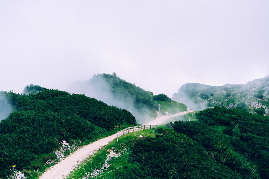 bjerg, Skov, træ, grøn, tåge, klatre, østrig, Untersberg, plante, skønhed i naturen, scenics - natur, natur, grøn farve, himmel, vækst, dag, ingen mennesker, ikke-urbane scene, miljø, vej, rolig scene, jord, ro, udendørs, magt i naturen, 8K