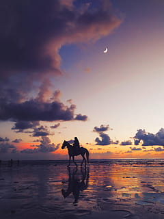 foto siluet, orang, berkuda, kuda, backlit, pantai, awan, Fajar, wallpaper, wallpaper iphone, wallpaper ponsel, samudra, wallpaper samsung, laut, pemandangan laut, pantai laut, langit, matahari terbit, matahari terbenam, awan - langit, air, orang sungguhan, keindahan di alam, tanah, bayangan hitam, laki-laki, gaya hidup, orang-orang, alam, kegiatan waktu luang, cakrawala di atas air, scenics - alam, dua orang, di luar rumah, 4K, CC0, domain publik, bebas royalti