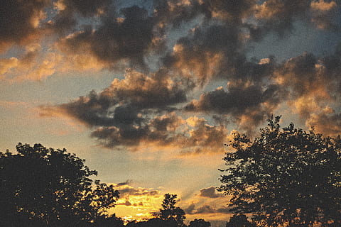 Sonnenuntergang, Baum, Wolken, fallen, Orange, Dämmerung, Kontrast, Zauber, Horizont, Himmel, wolke - himmel, Schönheit in der Natur, Pflanze, Ruhe, Natur, keine Leute, Silhouette, Szenen - Natur, ruhige Szene, Dramatischer Himmel, Flachwinkelansicht, idyllisch, draußen, orange Farbe, Hintergründe, Wachstum, Wipfel, 5K, CC0, gemeinfrei, lizenzfrei