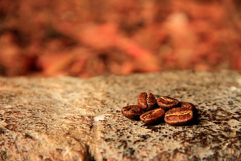 cafea, prăjită, cafeină, stimulator, aromă, băutură, aromat, delicios, se bucura, băuturi, mic dejun, alimente, cafenea, proaspăt, mancare si bautura, boabe de cafea prăjită, maro, a închide, cafea - băutură, selectiv, nici o persoana, prospeţime, natură moartă, cafeaua de cafea brută, să se concentreze asupra primelor elemente, gustare, zi, fript, texturată, condiment, natură, 2K, CC0, domeniu public, fără drepturi de autor