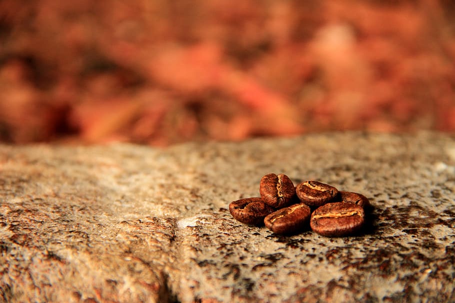 kaffe, ristet, koffein, stimulerende, aroma, drikke, aromatisk, lækker, god fornøjelse, drikkevarer, morgenmad, smag, mad, cafe, frisk, mad og drikke, ristet kaffebønne, Brun, tæt på, kaffe - drikke, selektiv fokusering, ingen mennesker, friskhed, stilleben, rå kaffebønne, fokus på forgrunden, forfriskning, dag, ristede, tekstureret, krydderi, natur, snack, 2K