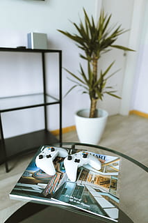 Due, xbox, uno, controller di gioco, libro delle riviste, superiore, tavolo di vetro, controllore, consolle, tavolo, gioco, controller xbox, gamer, joypad, telecomando da gioco, Casa, interno, famiglia di gioco, ragazza da giocatore, di gioco., nessuno, in casa, natura morta, pianta, tazza, utensile da cucina, concentrarsi sulle conoscenze acquisite, attrezzature domestiche, interno di casa, avvicinamento, cibo e bevande, bere, pianta in vaso, forchetta, giorno, contenitore, boccale, natura, vasellame, bicchiere, vassoio, 4K, CC0, dominio pubblico, privo di copyright