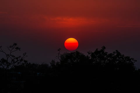 tramonto sopra gli alberi, natura, tramonto, all'aperto, cielo rosso, crepuscolo, cielo, India, Gandhinagar, luce del sole, sole, silhouette, Alba, d'oro, alberi, palla, Palloncino, savana, campo, prateria, albero, pianta, bellezza nella natura, scenics - natura, la tranquillità, scena tranquilla, nessuno, idilliaco, colore arancione, crescita, notte, cerchio, rosso, Luna, astronomia, Luna piena, cima dell'albero, cielo romantico, 5K, CC0, dominio pubblico, privo di copyright