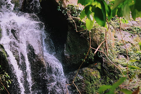 cascades, cascada, medi ambient, caure, flux, paisatge, molsa, roques molses, moviment, naturalesa, a l'aire lliure, parc, selva tropical, ràpids, riu, roques, escènic, corrent, viatjar, vinyes, aigua, bellesa a la natura, rock, rock - object, escenics - natura, aigua que flueix, sòlid, cap gent, exposició llarga, moviment borrós, planta, bosc, terra, formació de roca, que flueix, dia, poder a la natura, 5K, CC0, domini públic, lliure de regalies