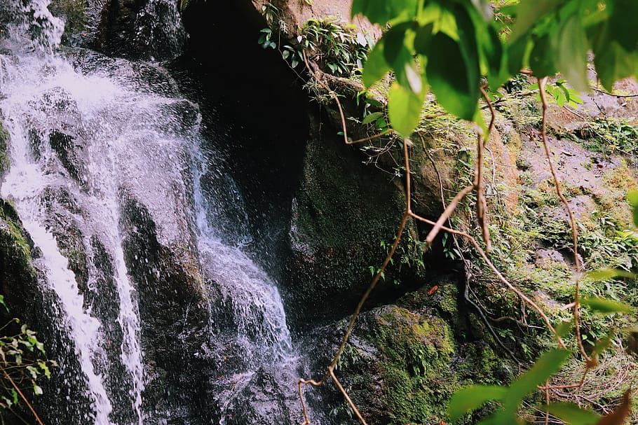 cascades, cascada, medi ambient, caure, flux, paisatge, molsa, roques molses, moviment, naturalesa, a l'aire lliure, parc, selva tropical, ràpids, riu, roques, escènic, corrent, viatjar, vinyes, aigua, bellesa a la natura, rock, rock - object, escenics - natura, aigua que flueix, sòlid, cap gent, exposició llarga, moviment borrós, planta, bosc, terra, formació de roca, que flueix, dia, poder a la natura, 5K