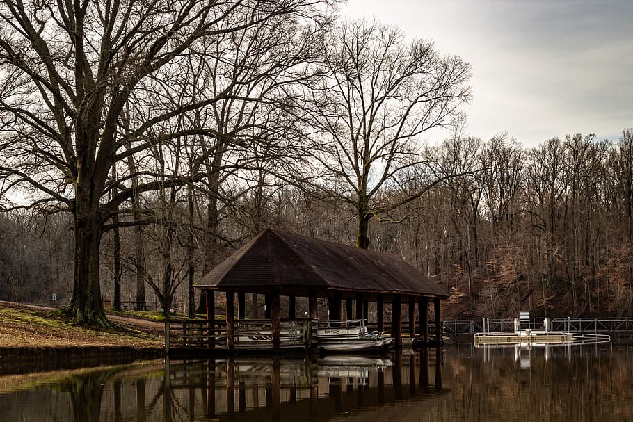 casa marró, glorieta, EUA, parc estatal de bosc meeman-shelby, Memphis, tn, aigua, vaixell, edifici, moll, a l'aire lliure, naturalesa, tenda, parc estatal, moll del vaixell, arbres, bosc meeman-shelby, embarcacions, llac, refugi, camp, rural, arquitectura, arbre nu, arbre, estructura construïda, cap gent, planta, cel, reflexió, casa, davant del mar, tranquil·litat, exterior de l'edifici, escena tranquil·la, escenics - natura, dia, casa de camp, 2K