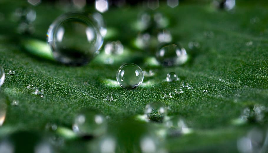 Makroaufnahme, Wassertropfen, Blase, sauber, Nahansicht, Tau, fallen, Tröpfchen, frisch, Frische, Grün, Wachstum, Flüssigkeit, Makro, Makrofotografie, natürlich, Natur, Reinheit, Regen, Regentropfen, Wasser, nass, selektiver Fokus, Pflanze, grüne Farbe, Gras, keine Leute, Kugel, transparent, Zerbrechlichkeit, Verletzlichkeit, Tag, Murmeln, draußen, Oberflächenniveau, 2K