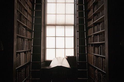 Marrone, tavolo, Due, scale, in casa, nessuno, finestra, libro, mensola, pubblicazione, giorno, scaffale, architettura, biblioteca, natura, mobilia, formazione scolastica, stanza domestica, tessile, Colore bianco, luce del sole, sicurezza, 4K, CC0, dominio pubblico, privo di copyright