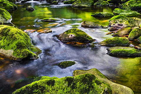 legeme, vand, klipper, baggrund, dagtimerne, miljø, flyde, flyder, landskab, lang eksponering, mos, mossy klipper, natur, naturskøn, sten, strøm, klippe, skønhed i naturen, solid, rock-objekt, bevægelse, scenics - natur, plante, ingen mennesker, grøn farve, flydende vand, træ, dag, jord, Skov, sløret bevægelse, strøm - rindende vand, udendørs, magt i naturen, regnskov, 5K, CC0, offentligt domæne, royaltyfrie