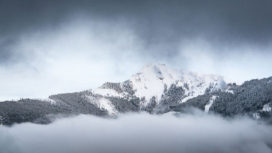 muntanya de neu, naturalesa, muntanya, a l'aire lliure, Serra, pic, neu, gel, hivern, temps, Austràlia, paisatge, núvol, fred, dramàtica, schafberg, boira, glacera, pendent, planta, temperatura de fred, escenics - natura, cel, núvol - cel, bellesa a la natura, escena tranquil·la, tranquil·litat, arbre, terra, medi ambient, bosc, cap gent, pi, arbre de fulla perenne, nevar, arbre de coníferes, bosc de pi, cim de muntanya, muntanya nevada, 2K