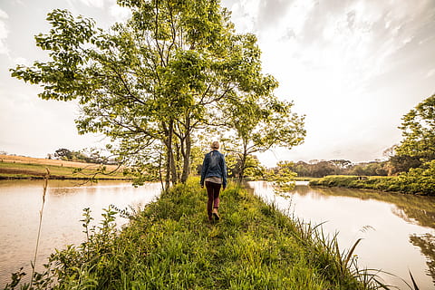 person, blå, dongerijakke, brun, bukser, stående, grønn, gress, front, leaved trees, elv, solfylt, himmel, lys, skyer, skyet, miljø, pike, horisont, landskap, naturlig, natur, anlegg, refleksjon, årstid, solo, vann, kvinne, én person, full lengde, innsjø, tre, utsikt bakover, skjønnhet i naturen, sky - himmel, fritidsaktivitet, ekte folk, livsstil, dag, menn, naturskjønnhet - natur, utendørs, tanke, 5K, CC0, offentlig domene, opphavsrett gratis