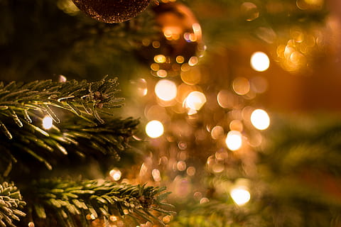 pohon pinus, lampu string mini, berbalik, menanam, pohon, penerangan, ornamen, pohon Natal, cahaya, Abies, pohon cemara, pinus, konifer, lampu, bokeh, pesta, xmas, hari Natal, berkilau, orang banyak, festival, merapikan, liburan, dekorasi Natal, perayaan, dekorasi, lampu Natal, diterangi, merapatkan, hiasan Natal, acara perayaan, tidak ada orang, malam, liburan - acara, peristiwa, alam, pohon jenis konifera, 4K, CC0, domain publik, bebas royalti