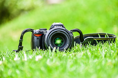 camera, grass, lens, straps, nikon, digital camera, photography themes, plant, camera - photographic equipment, green color, selective focus, technology, photographic equipment, field, land, day, lens - optical instrument, nature, close-up, no people, growth, outdoors, activity, personal accessory, slr camera, 5K, CC0, public domain, royalty free