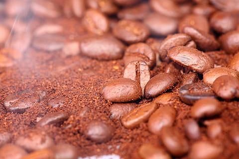 bønne, bakgrunn, makro, mønster, mat, drikke, mørk, fotografering, heap, mocha, ingen, jordbruk, kopiere, hvit, kaffe, brun, horisontal, full, gourmet, bakt, svart, glatt, nærbilde, alkoholfri, abstrakt, flavored, ramme, duftende, tekstur, frø, gruppe, farge, objekter, ingrediens, rom, bilde, stor, strukturert, friskhet, mat og Drikke, selektiv fokusering, stor gruppe gjenstander, full ramme, ingen folk, innendørs, kaffe - drikke, stekt kaffebønne, overflod, stilleben, varm drikke, matbit, fristelse, 5K, CC0, offentlig domene, opphavsrett gratis
