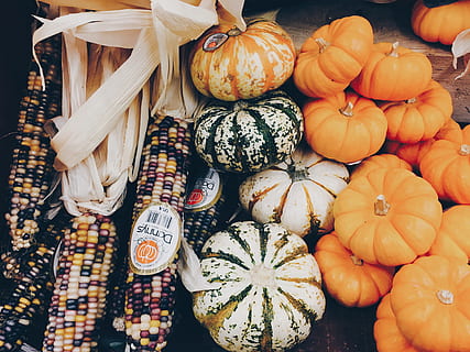 zucca invernale, accanto, Mais, fresco, zucche, schiacciare, verdura, cibo, cibo e bevande, freschezza, zucca, mangiare sano, benessere, natura morta, vista dall'alto, in vendita, scelta, mercato, grande gruppo di oggetti, variazione, abbondanza, Al dettaglio, nessuno, bancarella, colore arancione, cibo crudo, saldi, cibo vegetariano, 4K, CC0, dominio pubblico, privo di copyright