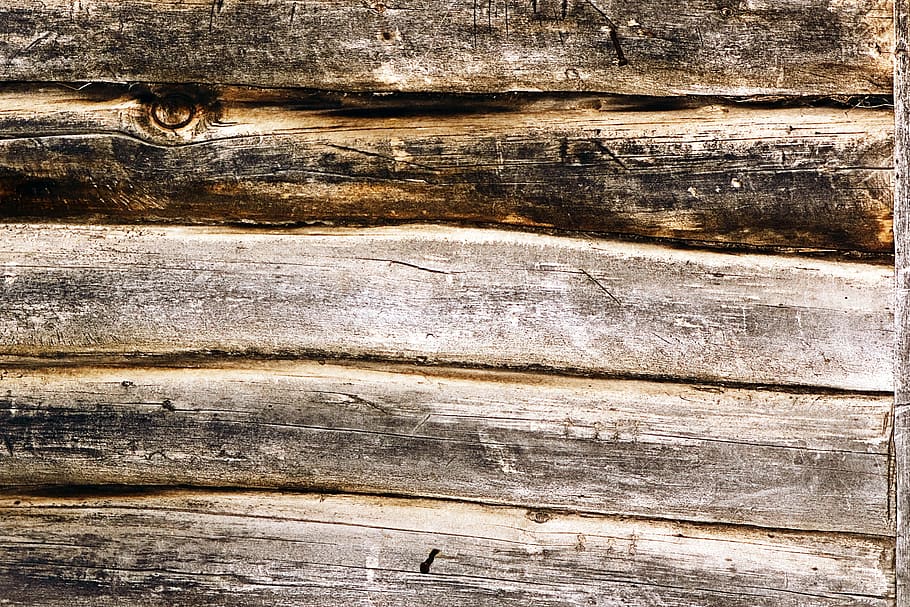 fundal, bord, maro, culoare, birou, exterior, material, model, scândură, stare brută, probă, structura, suprafaţă, textură, texturată, lemn, de lemn, lemn - material, fundaluri, nici o persoana, cadru complet, a închide, animale tematice, animal, un animal, zi, în aer liber, mamifer, cherestea, natură, direct deasupra, rumegus, texturat efect, 2K