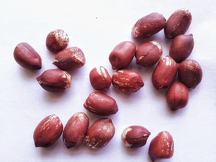 kacang tanah, terpencil, putih, backround, kacang, kacang kacangan, latar belakang putih, kering, benih, makanan, makanan dan minuman, buah, makan sehat, kesegaran, kesejahteraan, masih hidup, tidak ada orang, tembakan studio, dalam ruangan, makanan manis, merapatkan, sekelompok besar objek, merah, cranberi, manis, tampilan sudut tinggi, meja, godaan, 4K, CC0, domain publik, bebas royalti
