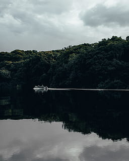 amason, amazonia, amazonas, skog, båt, natur, vild, vatten, himmel, moln - himmel, träd, reflexion, växt, sjö, vid vatten, lugn, skönhet i naturen, scenics - natur, lugn plats, inget folk, dag, icke-urbana scenen, idyllisk, stående vatten, symmetri, utomhus, reflektion sjö, 4K, CC0, offentligt domän, royaltyfria