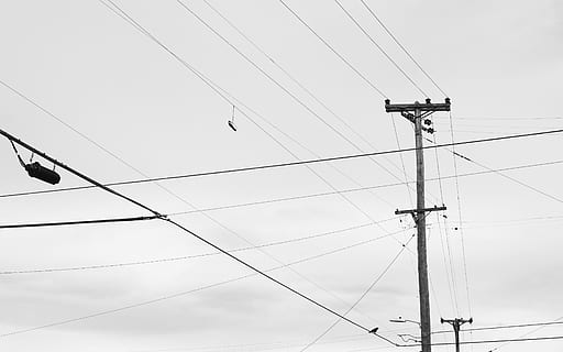 grijze krachtpost, hulpprogramma pool, kabel, stroomkabels, elektrische transmissietoren, vogel, dier, draad, toren, architectuur, torenspits, gebouw, huis, behuizing, huisje, elektronica, toetsenbord, harnas, bedrading, kudde, elektriciteit, hemel, lage hoekweergave, technologie, brandstof en stroomopwekking, verbinding, stroomvoorziening, hoogspanningslijn, hoogspanningsmast, natuur, geen mensen, ingewikkeldheid, buitenshuis, dag, pool, heldere lucht, telefoon paal, communicatie, metaal, telefoonlijn, elektrische apparatuur, 4K, CC0, publiek domein, royaltyvrij