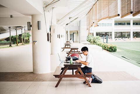 studia, lavoro, difficile, nerd, panchina, pace, tavolo, formazione scolastica, persone reali, lunghezza intera, seduta, persone, stili di vita, architettura, giorno, abbigliamento casual, adulto, struttura costruita, posto a sedere, in casa, uomini, due persone, giovane adulto, pavimentazione, attività di svago, donne, sedia, figlio, colonna architettonica, 5K, CC0, dominio pubblico, privo di copyright