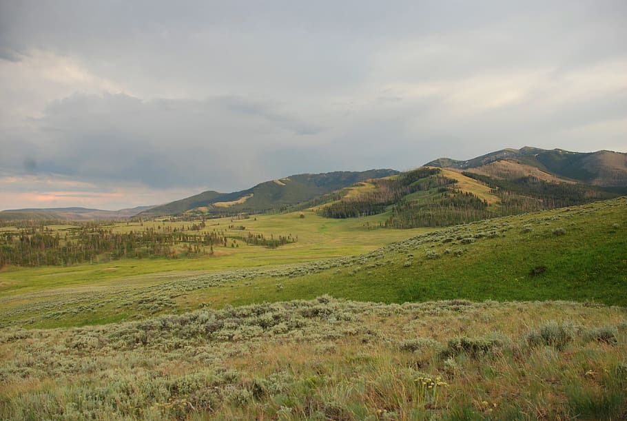 Yellowstone np, Szenen - Natur, Landschaft, Umgebung, Himmel, ruhige Szene, Schönheit in der Natur, Ruhe, wolke - himmel, Berg, Gras, Nicht-städtische Szene, Pflanze, grüne Farbe, Natur, Land, keine Leute, Tag, idyllisch, Feld, draußen, hügelige Landschaft, 2K