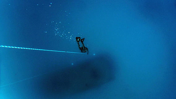 Malta, tuffo, immersione, oceano, frediving, acqua, blu, caduta, profonda immersione, mare, sport, sport invernali, natura, avventura, persone, lunghezza intera, sciare, inverno, giorno, attività di svago, all'aperto, movimento, la neve, sport acquatico, esplorazione, gioia, persona irriconoscibile, 4K, CC0, dominio pubblico, privo di copyright