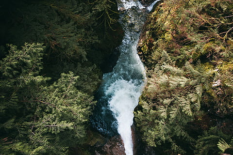 cascade, les collines, entouré, les plantes, nuage, du froid, écoulement, vert, colline, paysage, Montagne, Roche, ciel, courant, vallée, branches, ruisseau, courbe, extrême, des chutes, géologie, herbe, feuilles, Naturel, la nature, éclaboussure, des pierres, Piste, Voyage, eau, mouvement, arbre, beauté dans la nature, plante, paysages - nature, eau qui coule, longue exposition, personne, journée, forêt, croissance, sport, terre, rock - objet, couleur verte, en plein air, pouvoir dans la nature, chute d'eau, 2K, CC0, domaine public, libre de droits