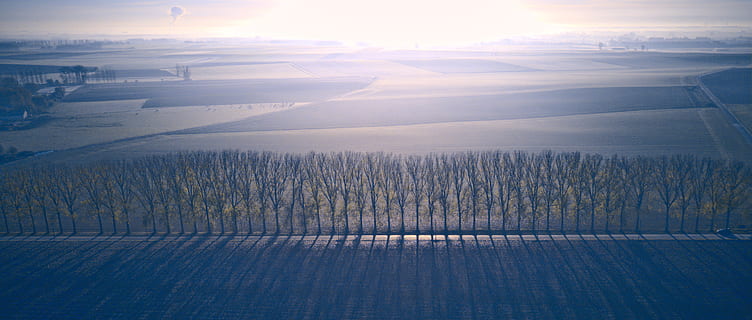 symetry, blu, nebbia, nube, strada, linea, ombra, primo, Belgio, wallonium, Mavic, fuco, aereo, campo, albero, vista aerea, cielo, scenics - natura, ambiente, natura, nuvola - cielo, mezzi di trasporto, paesaggio, scena tranquilla, luce del sole, la tranquillità, nessuno, bellezza nella natura, giorno, scena rurale, all'aperto, agricoltura, terra, riflesso lente, 2K, CC0, dominio pubblico, privo di copyright
