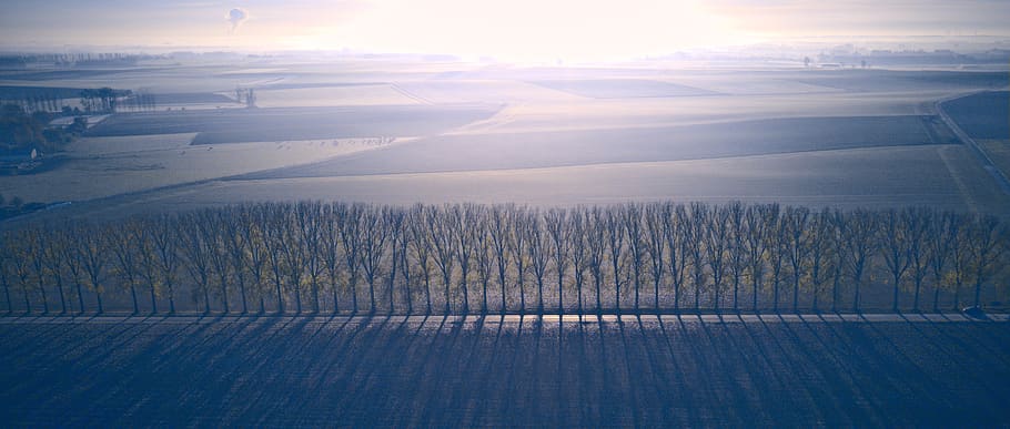 symetry, blu, nebbia, nube, strada, linea, ombra, primo, Belgio, wallonium, Mavic, fuco, aereo, campo, albero, vista aerea, cielo, scenics - natura, ambiente, natura, nuvola - cielo, mezzi di trasporto, paesaggio, scena tranquilla, luce del sole, la tranquillità, nessuno, bellezza nella natura, giorno, scena rurale, all'aperto, agricoltura, terra, riflesso lente, 2K