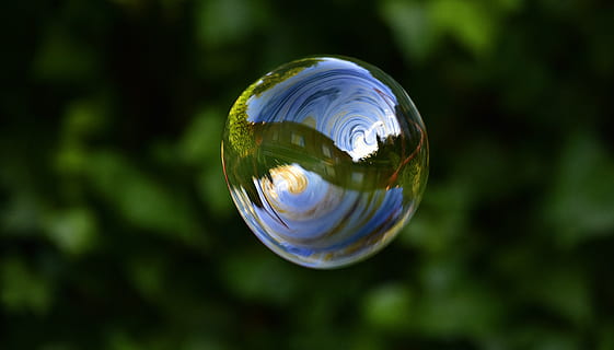 soap bubbles, bubbles, float, reflection, fun, weightless, sphere, bubble, close-up, transparent, focus on foreground, nature, no people, soap sud, day, glass - material, mid-air, fragility, vulnerability, geometric shape, tree, outdoors, crystal ball, green color, circle, 4K, CC0, public domain, royalty free