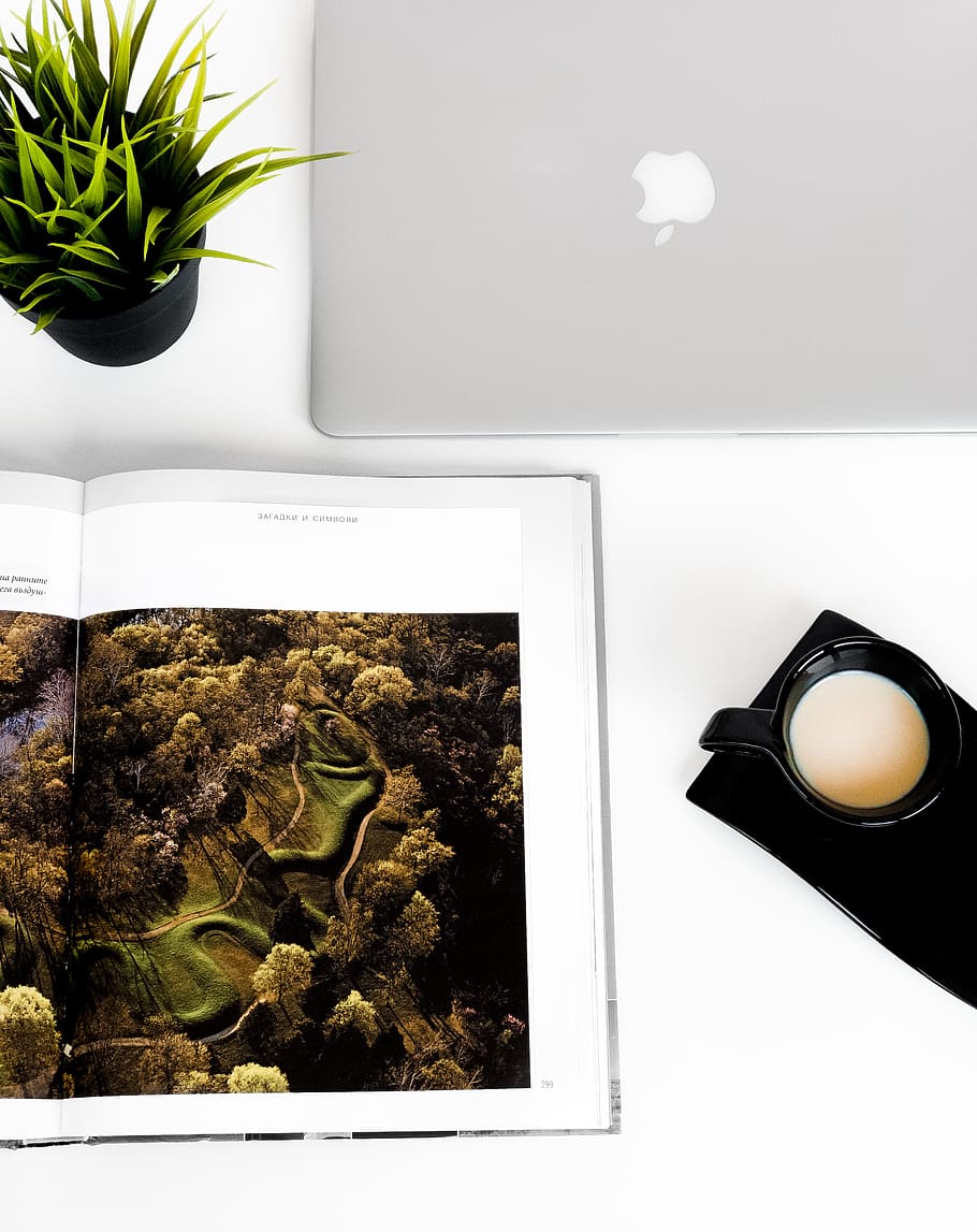 sølv macbook, plante, skrivebord, kontor, Opsætning, arbejde, design, æble, blomstre, blomst, plakat, reklame, collage, jord, elektronik, vegetation, træ, Busk, pc, computer, blad, indendørs, bord, ingen mennesker, stilleben, høj vinkel visning, natur, mad og drikke, plante del, tæt på, vækst, friskhed, direkte over, potteplante, mad, velvære, hvid farve, studio skud, stueplante, bakke, 2K
