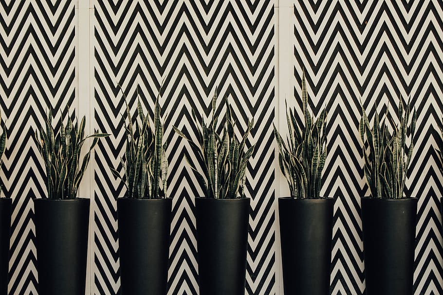 fünf, Viper, Bogensehnenpflanzen, Muster, keine Leute, Wandbau - Funktion, Hintergründe, Vollbild, Metall, drinnen, in einer Reihe, Nahansicht, Wiederholung, Design, Natur, gestalten, Wachstum, die Architektur, Pflanze, Tag, Seite an Seite, abstrakt, 5K