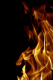 fuego, llamas, Art º, fondo, hermoso, negro, resplandor, flameante, hoguera, ardiente, quemado, de cerca, espacio de copia, peligro, diseño, detalle, elemento, energía, flama de fuego, hogar, llama, lengua de fuego, inflamable, combustible, gas, gasolina, brillante, calor, infierno, caliente, encendido, aislado, petróleo, naranja, , calor - temperatura, fuego - fenómeno natural, fondo negro, foto de estudio, movimiento, firmar, nadie, señal de advertencia, naturaleza, color naranja, adentro, comunicación, copia espacio, noche, humo - estructura fisica, 4K