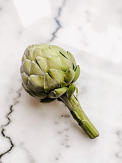 raakile, vihannes, terveellinen ruokavalio, ruoka ja juoma, ruoka, hyvinvointi, artisokka, tuoreus, vihreä väri, lähikuva, ei ihmisiä, asetelma, raaka ruoka, sisällä, studio ammuttu, yksi kohde, keskittyä etualalle, orgaaninen, valkoinen väri, korkea kulma, kopiointitila, Kasvisruoka, 4K, CC0, public domain, rojaltivapaa