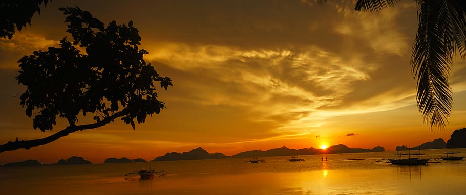 el nido, nebe, západ slunce, strom, voda, krása v přírodě, scenics - příroda, rostlina, mrak - nebe, Příroda, oranžová barva, silueta, klidné scény, klid, moře, tropické klima, námořní plavidlo, slunečního světla, pláž, přistát, nikdo, venku, kokosová palma, 5K