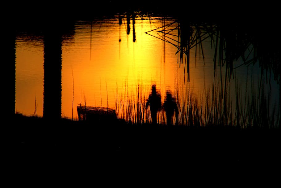 love, reflection, water, flow, river, dark, mirror, partner, couple, silhouette, sunset, orange color, sky, tree, nature, tranquility, beauty in nature, no people, tranquil scene, scenics - nature, lake, idyllic, plant, sun, sunlight, outdoors, romantic sky, 4K