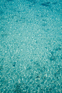 teal vody, voda, oceán, venku, Příroda, moře, vlnění, bazén, tropický, uklidnit, modrý, textura, Skála, sportovní, plavání, sport, mořské vlny, pobřeží, zvíře, mořský život, plavecký bazén, pozadí, celý rám, čeřil, vzor, nikdo, den, lom světla, nábřeží, vysoký úhel pohledu, vodní hladiny, slunečního světla, průhledný, dlaždice, odraz, tyrkysové barvy, abstraktní, podlaha, čistý, abstraktní pozadí, čistota, luxus, plovoucí na vodě, 5K, CC0, veřejná doména, bez autorských práv