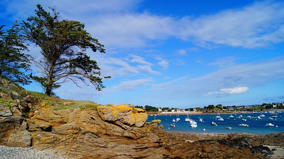 dos, arbres, rock, al costat, cos, aigua, platja, núvols, Costa, la llum del dia, paisatge, naturalesa, oceà, roques, sorra, escènic, mar, vora del mar, cel, estiu, sol, posta de sol, escombraries, rock - object, bellesa a la natura, escenics - natura, núvol - cel, sòlid, planta, arbre, terra, dia, blau, escena tranquil·la, tranquil·litat, cap gent, escena no urbana, a l'aire lliure, badia, 4K