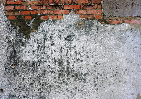 Wand, Textur, Hintergrund, Nahansicht, Beton, schmutzig, Außen, eben, grunge, Material, alt, Oberfläche, , Wandbau - Funktion, gebaute Struktur, verwittert, texturiert, die Architektur, keine Leute, Tag, Hintergründe, Vollbild, Ablehnen, beschädigt, schlechter Zustand, Verschlechterung, Metall, abschälen, Rau, Backstein, geschält, draußen, ruiniert, Zement, 2K, CC0, gemeinfrei, lizenzfrei