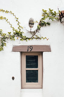 telaio della finestra marrone, pianta, architettura, struttura costruita, esterno dell'edificio, nessuno, giorno, caratteristica della parete, costruzione, crescita, natura, pianta in vaso, finestra, all'aperto, porta, Entrata, Casa, foglia, parte vegetale, chiuso, Colore bianco, 5K, CC0, dominio pubblico, privo di copyright