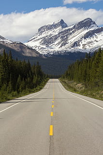 lige, vej, træer, bjerg, natur, Canada, hovedvej, udendørs, gletscher, is, sne, jaspis, isfelt parkway, træ, landskab, motorvej bjerg, Nationalpark, lang vej, afstand, banff, bjergvej, symbol, retning, vejmærkning, mærkning, skønhed i naturen, vejen frem, transportmidler, skilt, scenics - natur, bjergkæde, kold temperatur, vinter, faldende perspektiv, rolig scene, asfalt, ingen mennesker, snedækket bjerg, skillelinje, lang, bjergtop, 5K, CC0, offentligt domæne, royaltyfrie
