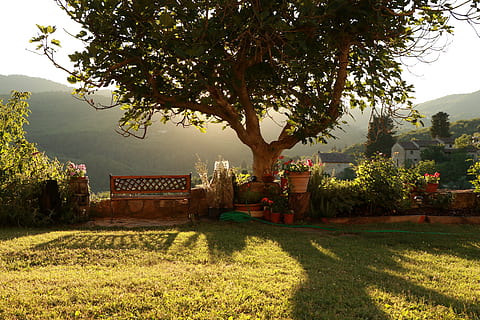 chianti, albero, tramonto, controluce, colline, Toscana, Italia, panchina, nazione, atmosfera, paesaggio, sole, vista, estate, Chianti Shire, rilassamento, pianta, erba, natura, crescita, luce del sole, nessuno, struttura costruita, architettura, bellezza nella natura, giorno, campo, ombra, all'aperto, colore verde, parco, la tranquillità, esterno dell'edificio, cielo, costruzione, 5K, CC0, dominio pubblico, privo di copyright