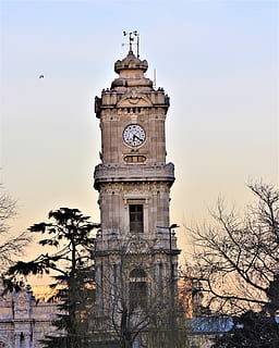 hora, torre, antiguo, en, fecha, arquitectura, arquitecto, Estanbul, palacio, letras msn, urbano, Monumento, turismo, el famoso, cielo, pavo, judío, exterior del edificio, estructura construida, Torre del Reloj, árbol, destinos de viaje, edificio, naturaleza, el pasado, historia, reloj, planta, vista de ángulo bajo, árbol desnudo, nadie, viaje, ciudad, 4K, CC0, dominio público, libre de derechos