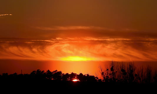 posta de sol, paisatge, arbre, núvols, humor, cel, núvol - cel, silueta, color taronja, escenics - natura, bellesa a la natura, tranquil·litat, medi ambient, escena tranquil·la, cel dramàtic, cap gent, naturalesa, planta, fosc, idíl·lic, por, a l'aire lliure, sol, cel romàntic, 4K, CC0, domini públic, lliure de regalies