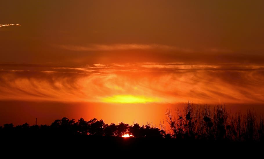 posta de sol, paisatge, arbre, núvols, humor, cel, núvol - cel, silueta, color taronja, escenics - natura, bellesa a la natura, tranquil·litat, medi ambient, escena tranquil·la, cel dramàtic, cap gent, naturalesa, planta, fosc, idíl·lic, por, a l'aire lliure, sol, cel romàntic, 4K